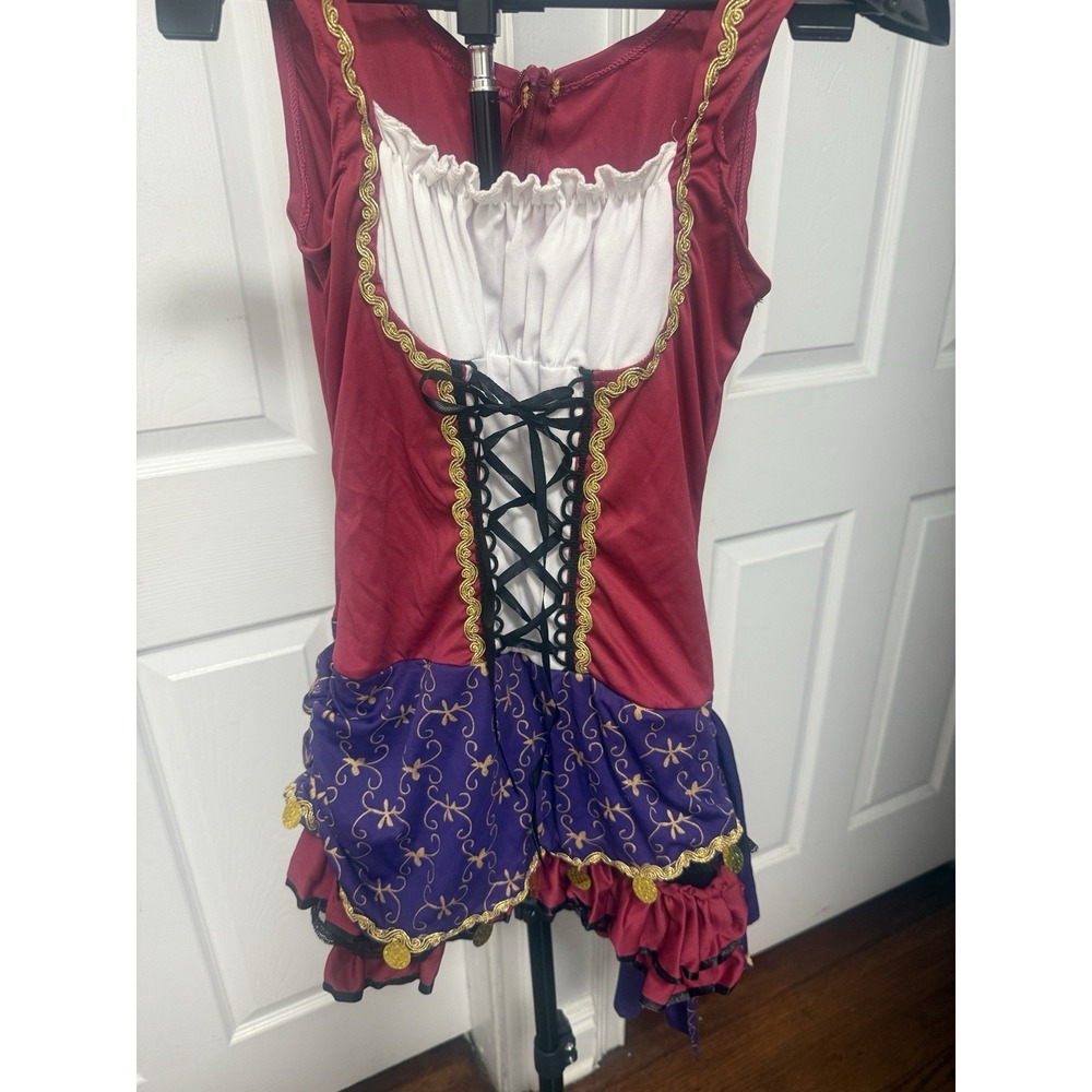 Leg Avenue Gypsy Fortune Teller Costume (See Measurements For Size)